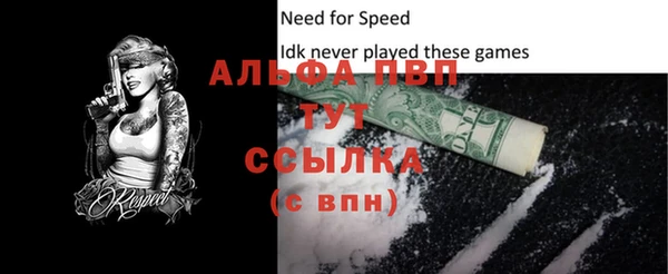 spice Кинешма
