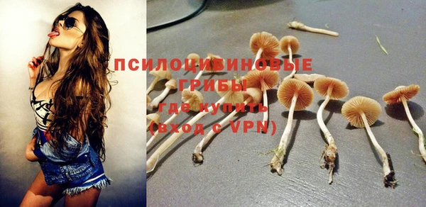 ПСИЛОЦИБИНОВЫЕ ГРИБЫ Киренск