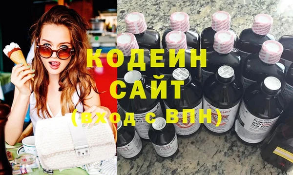 гашик Козловка