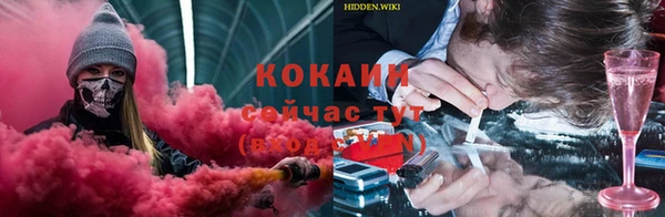 гашик Козловка