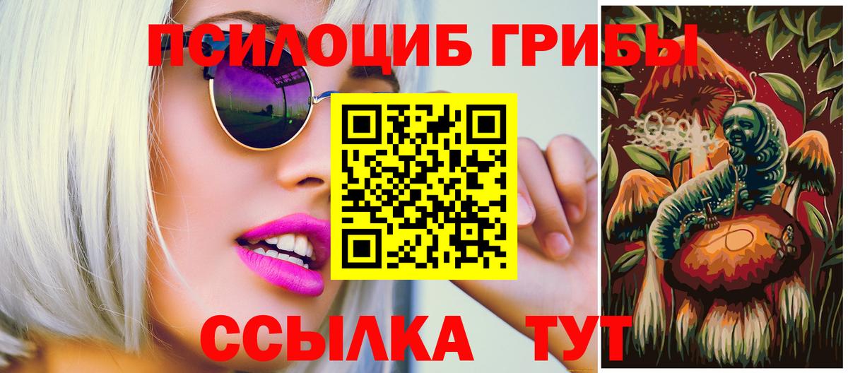 Псилоцибиновые грибы Cubensis  Бор  Псилоцибиновые грибы мухоморы 