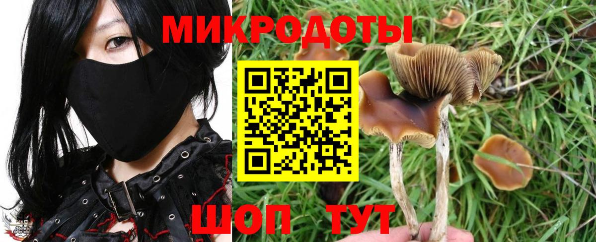 Бор  Галлюциногенные грибы GOLDEN TEACHER  Вход с VPN 
