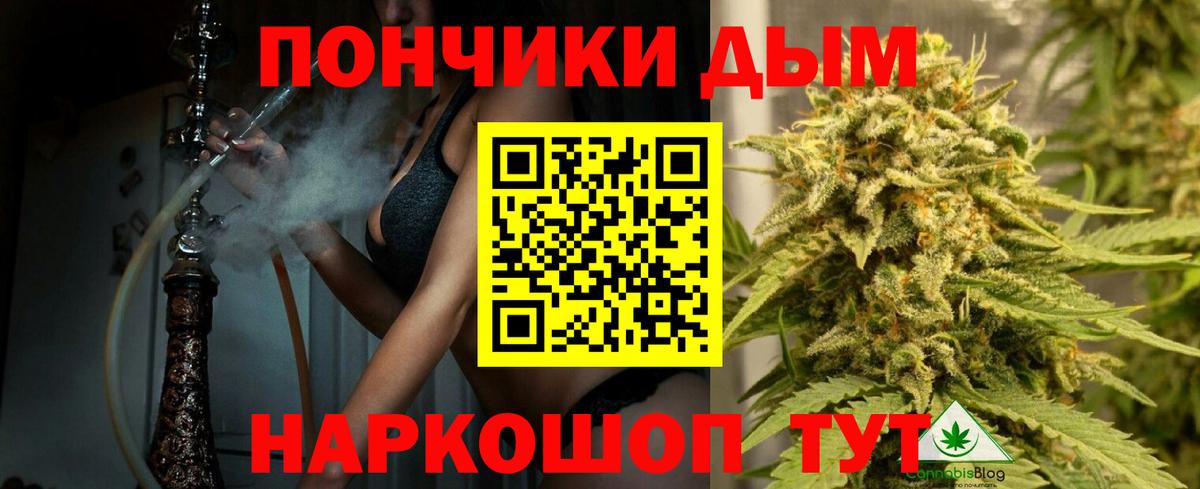 Канабис Bruce Banner Бор